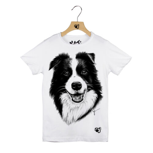 BORDER COLLIE