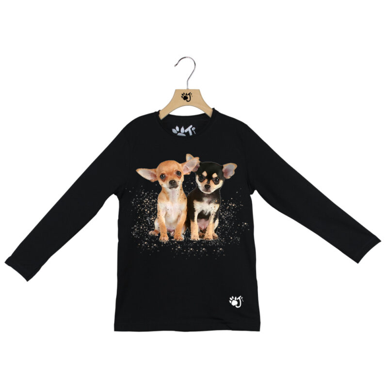 CHIHUAHUA
