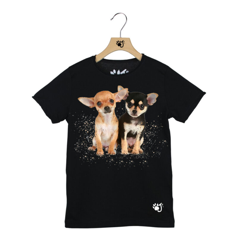 CHIHUAHUA