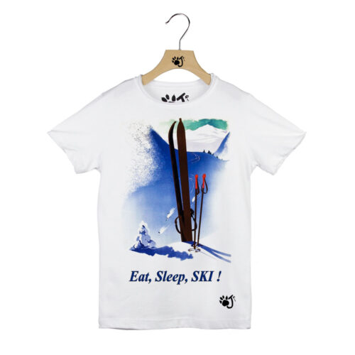 SKI POSTER