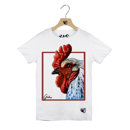 GALLUS