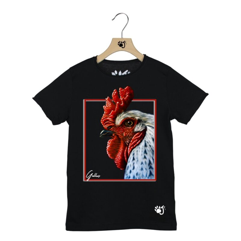 GALLUS