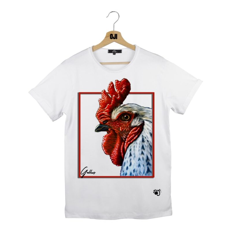GALLUS